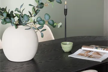 Isolde Matgrupp 180 cm Oval med 4 Polar stolar - Beige - Möbler - Bord & matgrupper - Matgrupper