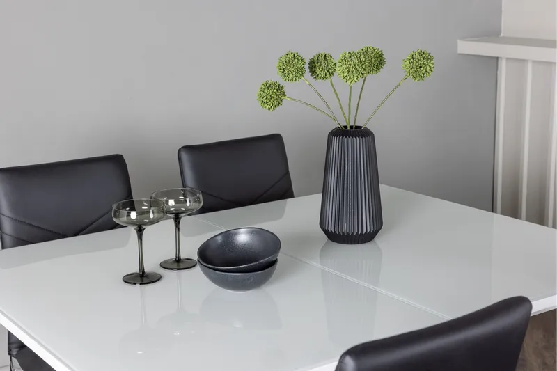 Pluto Matgrupp 120 cm Rektangulär med 4 Lily stolar - Svart - Möbler - Bord & matgrupper - Matgrupper