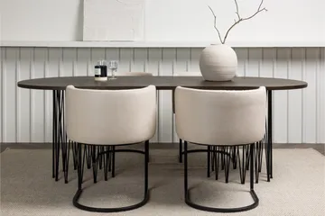 Stone Matgrupp 220 cm Oval med 4 Simrishamn stolar - Beige - Möbler - Bord & matgrupper - Matgrupper