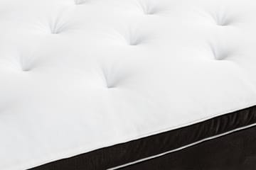 Ella Kontinentalsäng 90x200cm - Mörkgrå/Sammet - Möbler - Säng - Kontinentalsäng