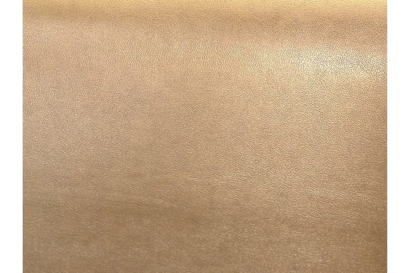 Paris Vattensäng 160x200 cm Guld  Guld - Guld - Möbler - Säng - Vattensängar
