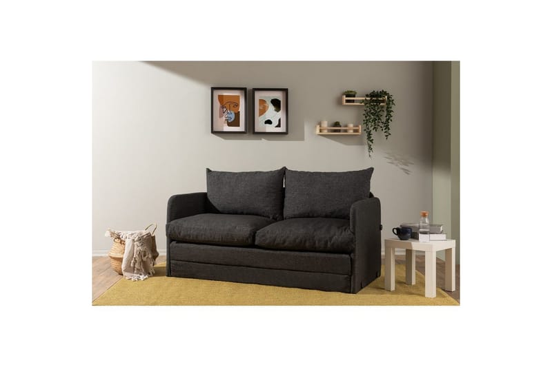 2-sits bäddsoffa Rubby (148 x 70 x 66 cm) Mörkgrå - Mörkgrå - Möbler - Soffa - Bäddsoffa