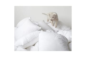 Kudde Hotellkudde - 50 x 60 cm (låg) - Textil & mattor - Sängkläder - Sovkudde - Innerkudde & huvudkudde