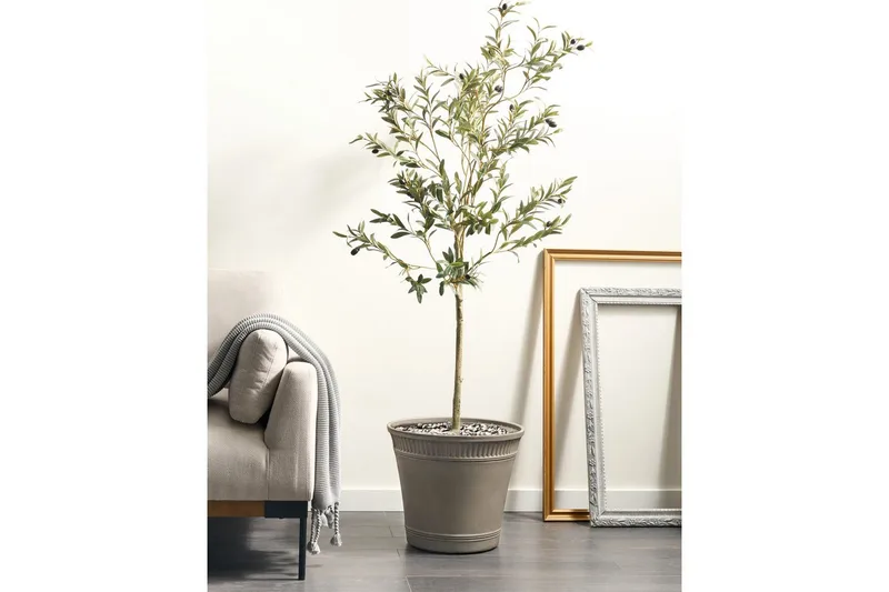 Trädgårdskruka Cistus - Trädgård & spabad - Trädgårdsskötsel - Odling - Planteringskärl & blomkruka - Stor blomkruka