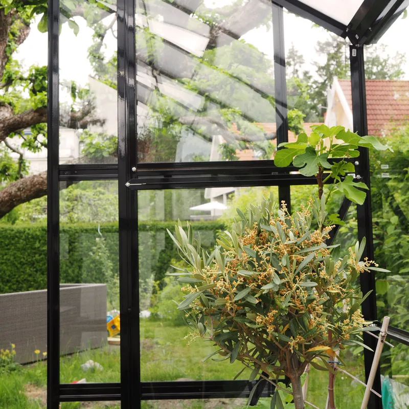 Växthus 6,4 m² | 4 mm säkerhetsglas | 5 års stormgaranti | Svart - Trädgård & spabad - Trädgårdsskötsel - Växthus