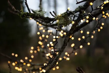 Berry Mini Ljusslinga - opalvit - Trädgård & spabad - Utemiljö - Altan & terrass - Altanbelysning