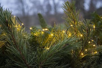 LED-ljusslinga Jul Dew Drop Micro 7 m 96 ljus Varmvit Batteridriven - Grön - Trädgård & spabad - Utemiljö - Altan & terrass - Altanbelysning