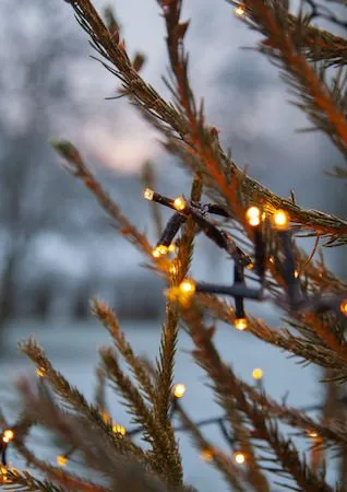 LED-ljusslinga Jul Golden Warm White 24 m 1200 ljus - Svart - Trädgård & spabad - Utemiljö - Altan & terrass - Altanbelysning