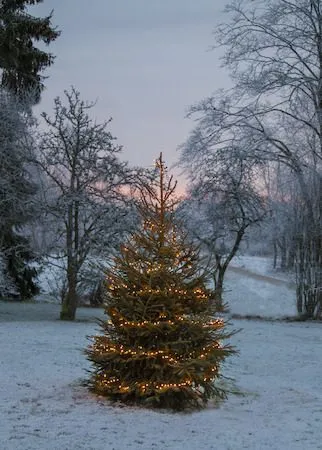 LED-ljusslinga Jul Golden Warm White 24 m 1200 ljus - Svart - Trädgård & spabad - Utemiljö - Altan & terrass - Altanbelysning