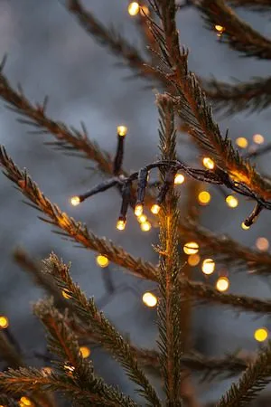 LED-ljusslinga Jul Golden Warm White 24 m 1200 ljus - Svart - Trädgård & spabad - Utemiljö - Altan & terrass - Altanbelysning