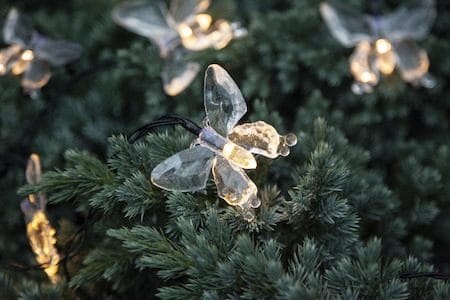 Papillon Solcellsslinga - transparent - Trädgård & spabad - Utemiljö - Altan & terrass - Altanbelysning