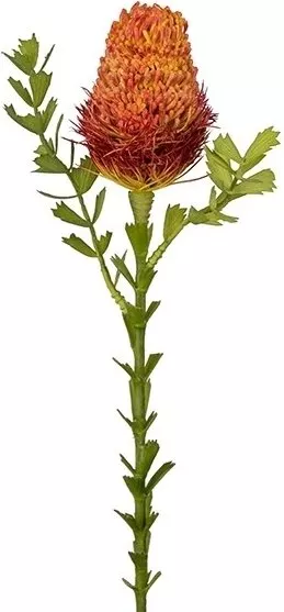 Banksia konstväxt - orange - Inredning - Konstgjorda växter & plastväxter