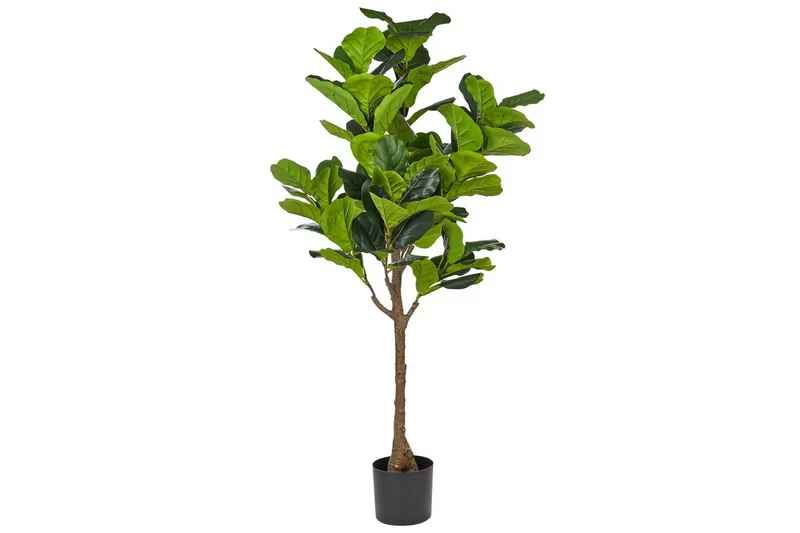 Konstgjord växt Fig Tree - Inredning - Konstgjorda växter & plastväxter