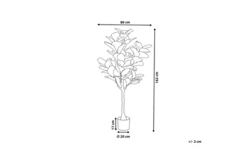 Konstgjord växt Fig Tree - Inredning - Konstgjorda växter & plastväxter