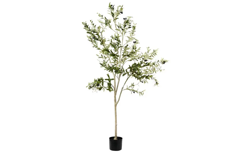 Konstgjord växt Olive Tree 75x75x178 cm - 75x75x178 cm - Inredning - Konstgjorda växter & plastväxter