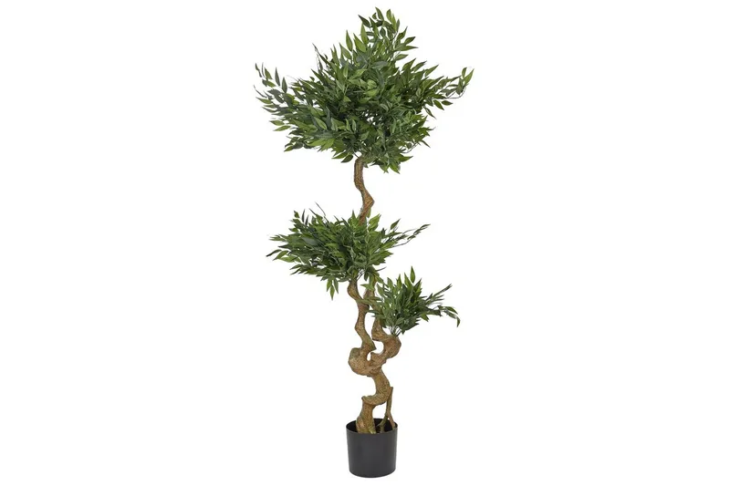 Konstgjord växt Ruscus Tree