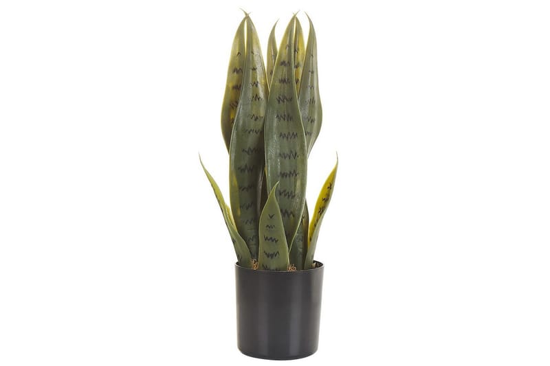 Konstgjord växt Snake Plant 10x10x40 cm - 10x10x40 cm - Inredning - Konstgjorda växter & plastväxter