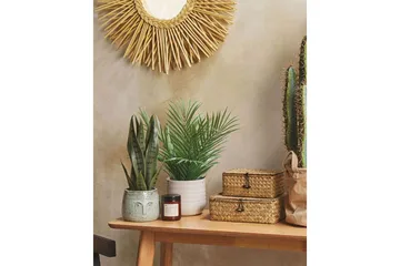 Konstgjord växt Snake Plant 10x10x40 cm - 10x10x40 cm - Inredning - Konstgjorda växter & plastväxter