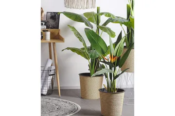 Konstgjord växt Strelitzia Tree - Inredning - Konstgjorda växter & plastväxter